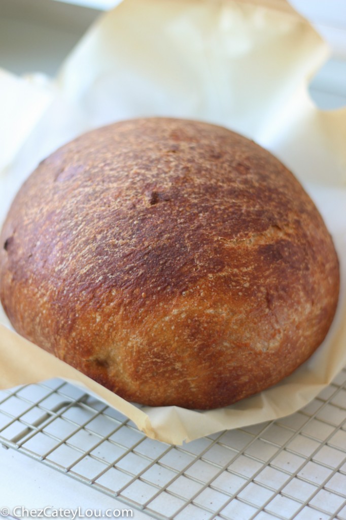 No Knead Irish Brown Bread made with Guinness | chezcateylou.com