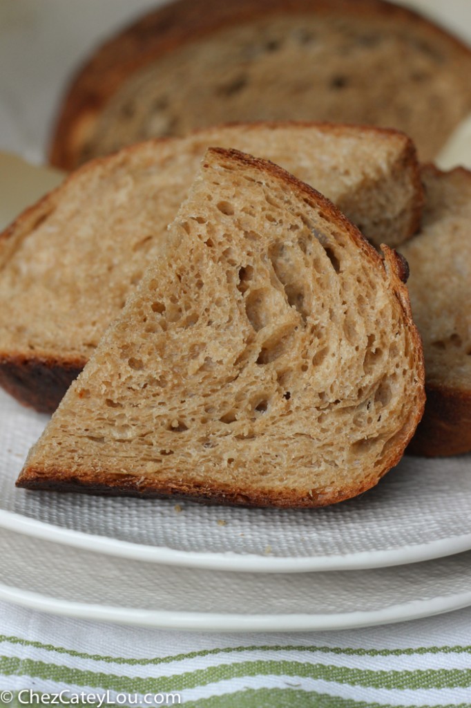 No Knead Irish Brown Bread made with Guinness | chezcateylou.com