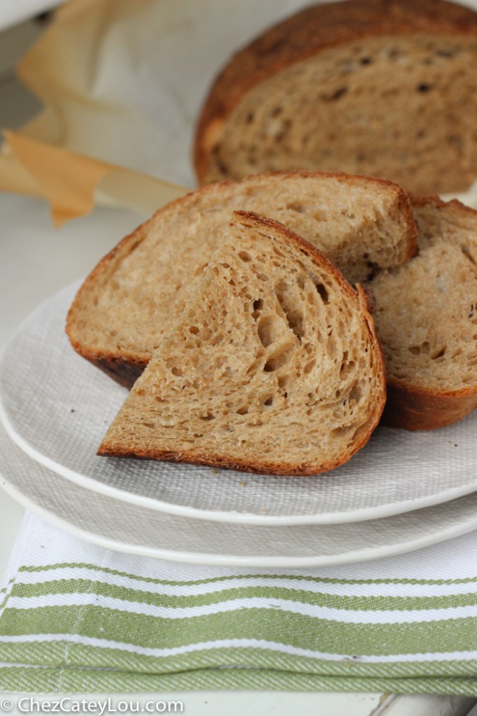 No Knead Irish Brown Bread made with Guinness | chezcateylou.com