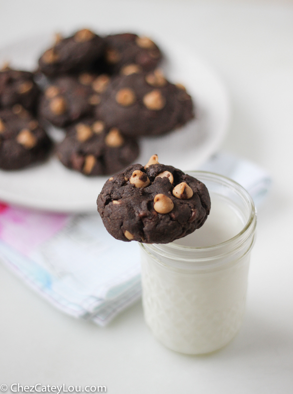 Flourless Chocolate Peanut Butter Cookies | chezcateylou.com