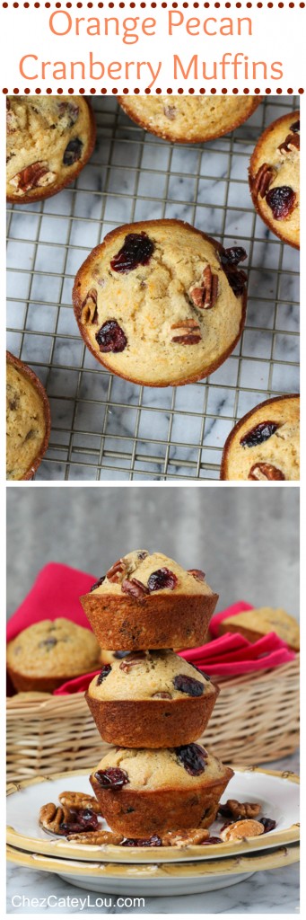 Orange Pecan Cranberry Muffins | ChezCateyLou.com