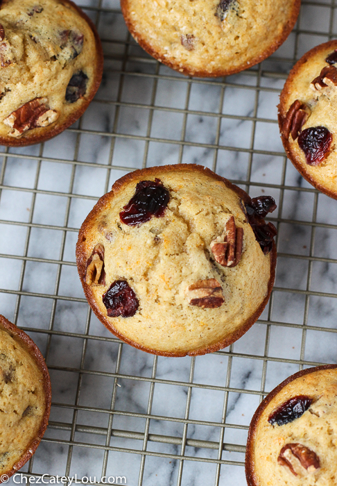 Orange Pecan Cranberry Muffins | ChezCateyLou.com