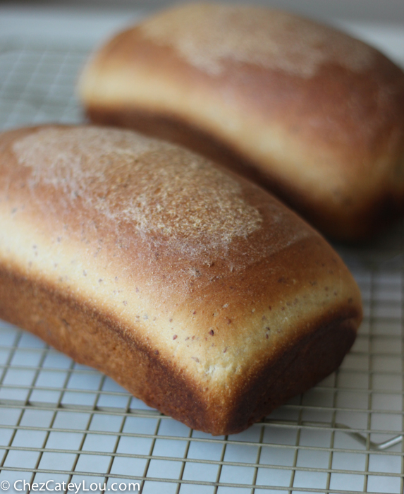 Almond Flour Bread | chezcateylou.com