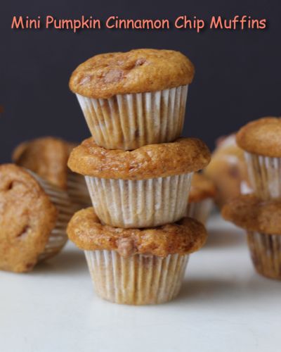 Mini Pumpkin Cinnamon Chip Muffins | chezateylou.com