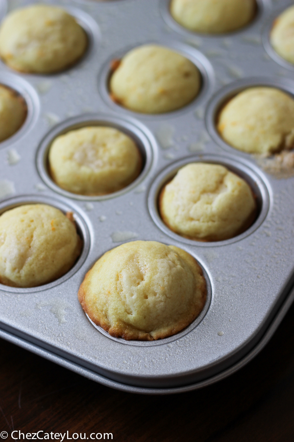 Cara Cara Orange Mini Muffins | chezcateylou.com