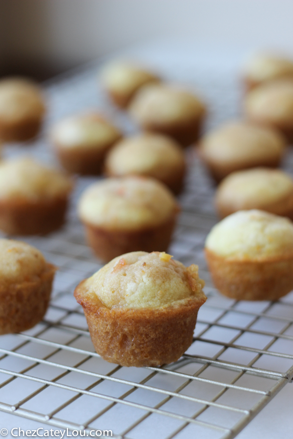 Cara Cara Orange Mini Muffins - Chez CateyLou