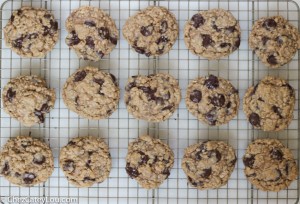 Dark Chocolate Chip Oatmeal Cookies | chezcateylou.com