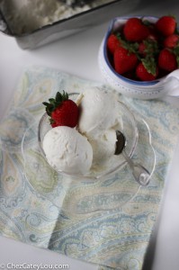 Vanilla Frozen Yogurt | chezcateylou.com #yogurt #recipe