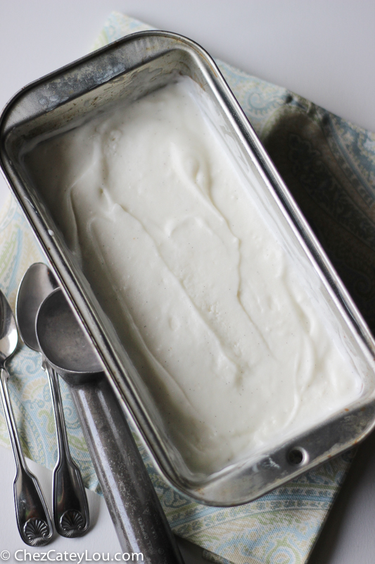 Vanilla Frozen Yogurt | chezcateylou.com #yogurt #recipe