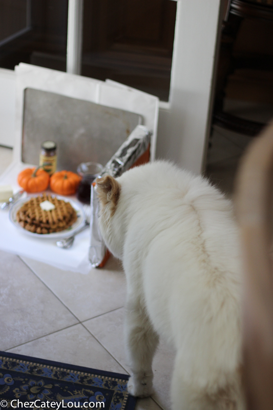 Pumpkin Waffles | ChezCateyLou.com #PumpkinWeek