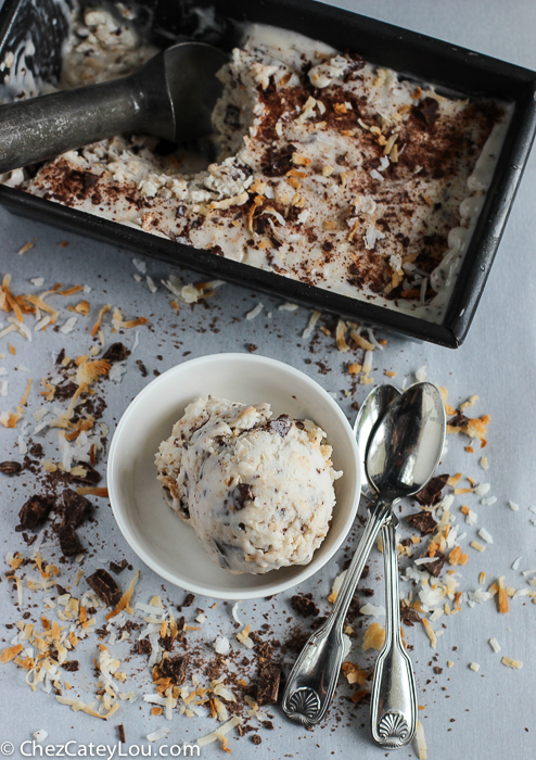 Dairy Free Toasted Coconut Ice Cream