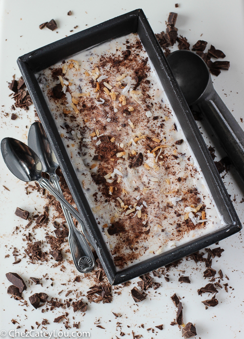 Dairy Free Toasted Coconut Ice Cream | ChezCateyLou.com